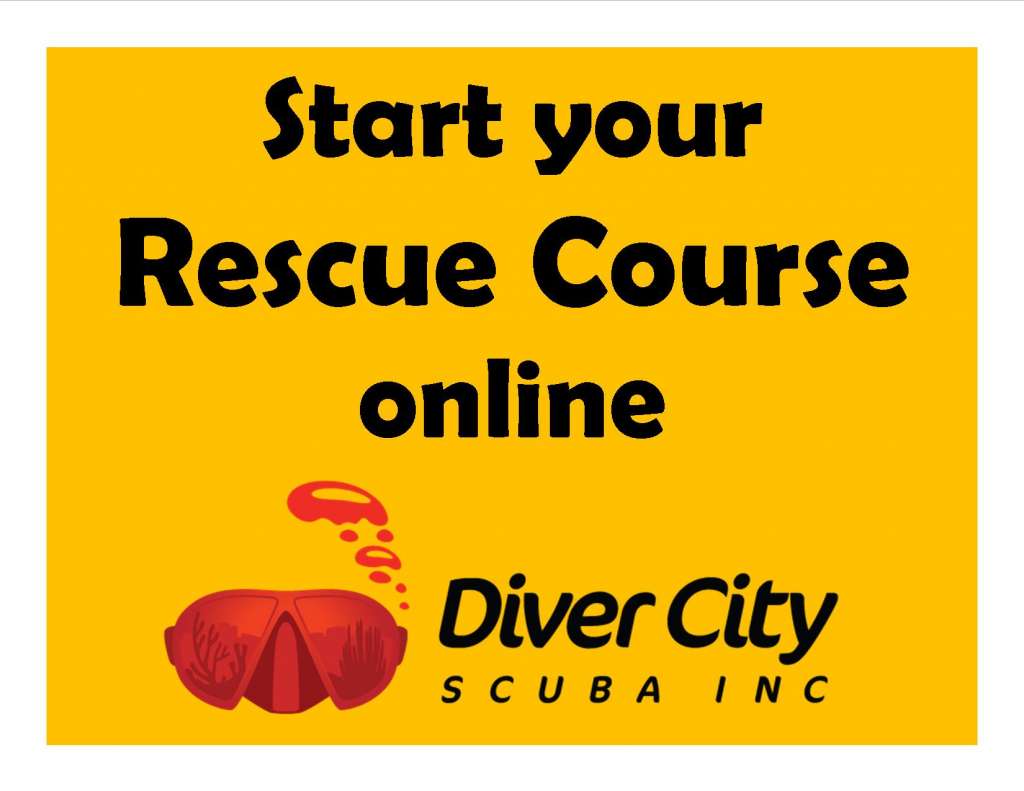Online Courses Rescue Diver Diver City SCUBA Inc.